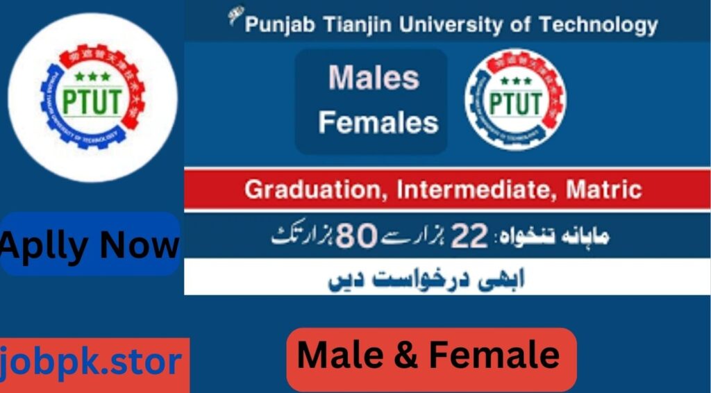 Punjab Tianjin University of Technology Pakistan Jobs 2025 - Apply Now for Latest Opportunities