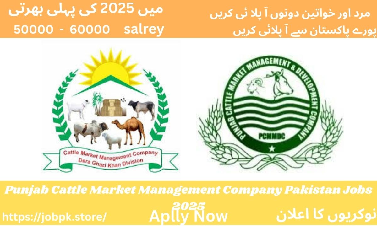 Punjab Cattle Market Management Company Pakistan Jobs 2025